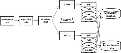 Discriminating Origin Tissues of Tumor Cell Lines by Methylation Signatures and Dys-Methylated Rules